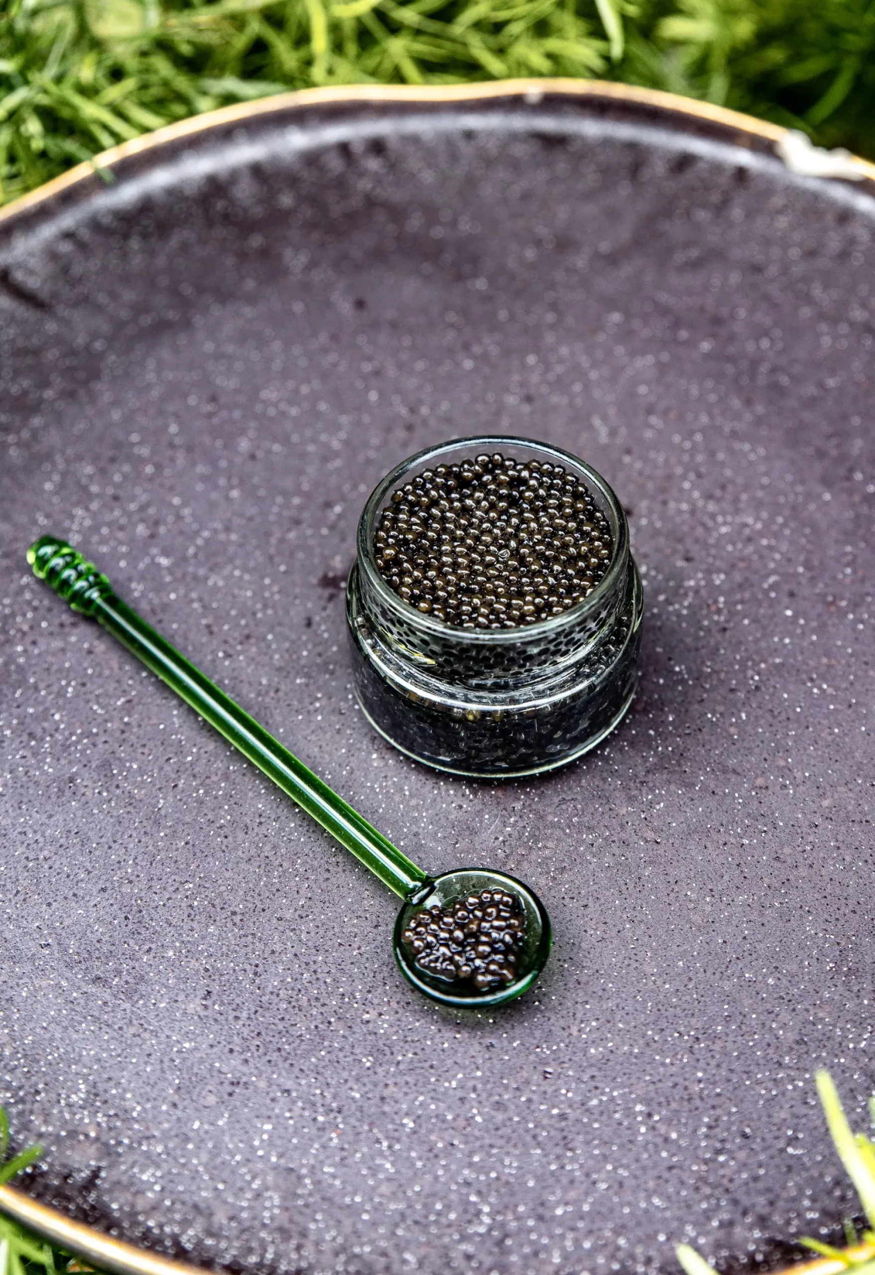 Caviar ESTURGEON Classic 100g