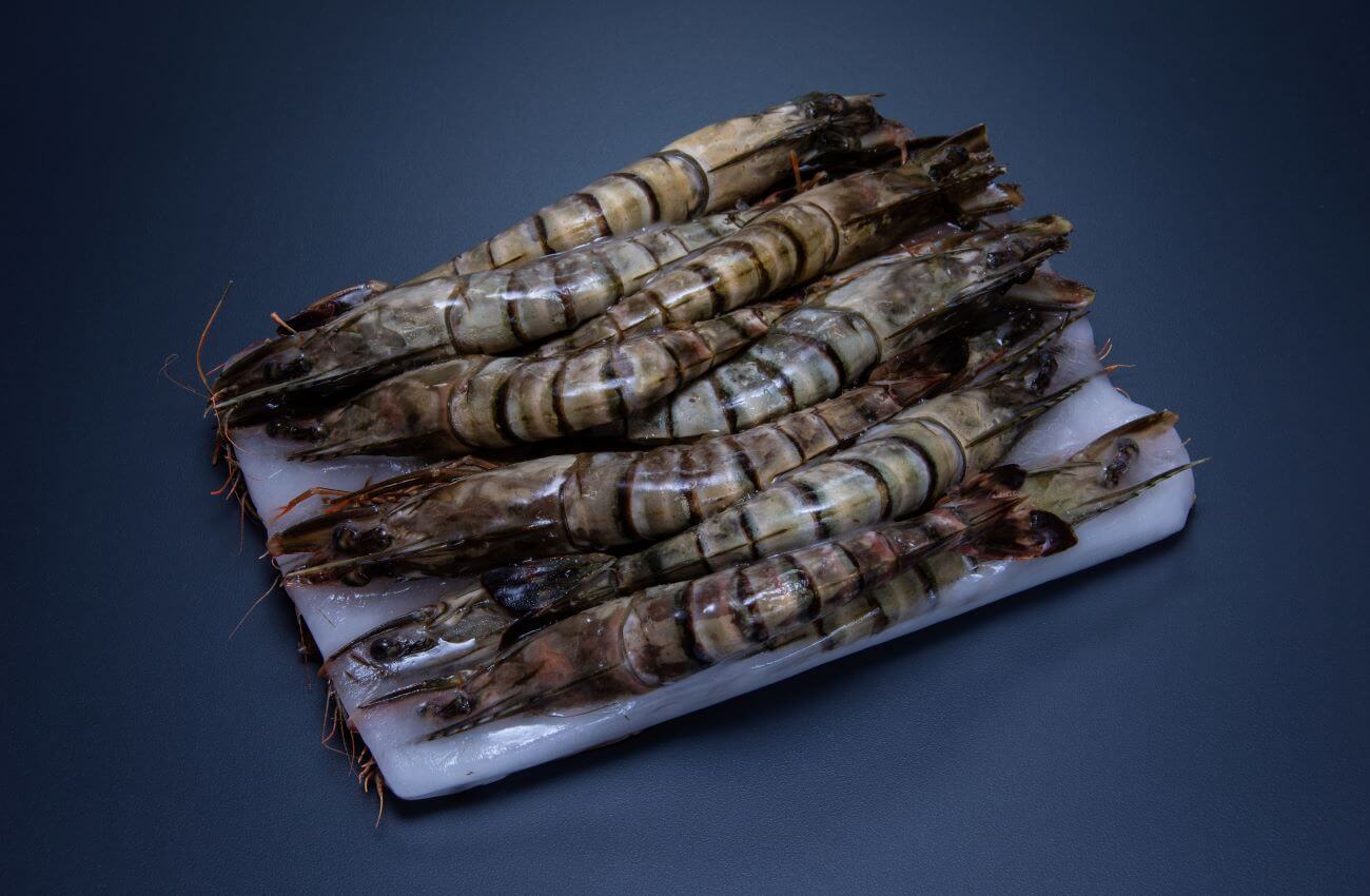 BT HOSO 13/15, Crevettes entière semi-iqf